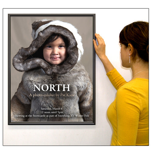 24 x 48 POSTER DISPLAYS WITH .060 WIDE FRAME PROFILE (SHOWN in BLACK)