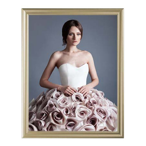 Modern Style 22x28 Snap Frame Poster Sign Holder | Beige Metal Picture Frame Finish